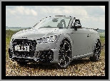 Cabrio, Audi TT RS Roadster