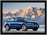 SUV, Audi Q5